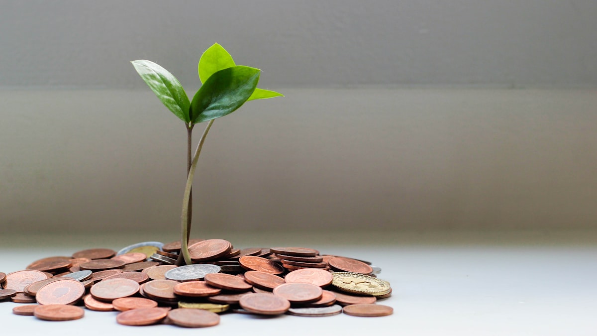 Debt relief planning and structured financial freedom